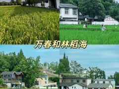 -老鼎万春卤菜(五代传承创始老店)