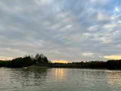 -上海海湾国家森林公园