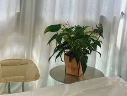 -晓V彩妆造型(大学路店)