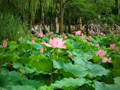 -莲池书院博物馆