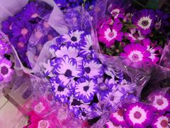 -三旗百汇商品城