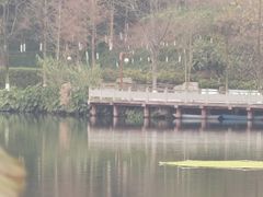 -重庆彩云湖湿地公园