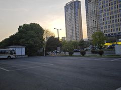-一代菌王·竹荪鹅(江苏旗舰店)