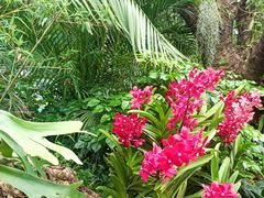 -华南国家植物园-售票处