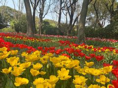 -上海鲜花港