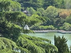 -济南南郊宾馆
