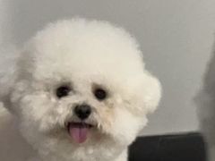 -嘉馨宠物医院·CT影像转诊·心脏科·犬猫全科诊疗中心(下沙大学城院区)