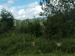-大连天门山国家森林公园