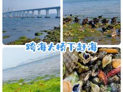 -大长山岛