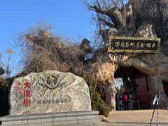 -大槐树寻根祭祖园