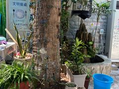 -丽江庭院之丽江往事(安定门店)