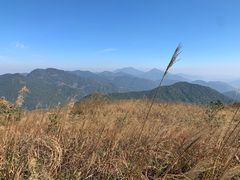 -清溪森林公园