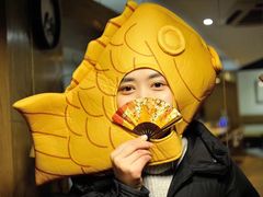 -柴务处·柴犬主题狗咖