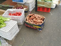 -北京清河镇农副产品交易市场中心