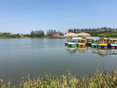 -上海长兴岛郊野公园