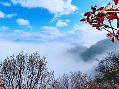 -秦岭风景区