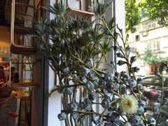 -弗劳尔花艺坊(龙涛店)