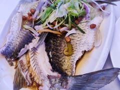 鸡汤浸山坑鲩-潮喜竹溪荔湖酒家(荔枝湾店)