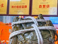 -阳澄湖大闸蟹·琼灵阁牌品牌连锁(吴中总店)