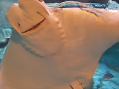 -沈阳海洋探索中心