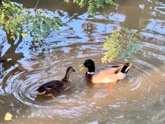 -泉州海丝野生动物世界