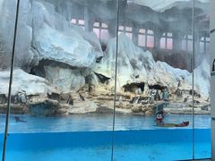 -帝企鹅自助餐厅•儿童岛•真企鹅(长隆企鹅酒店)