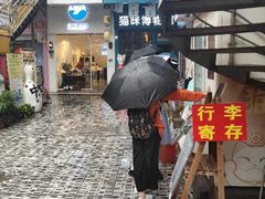 -猫咪博物馆(顶澳仔猫街店)