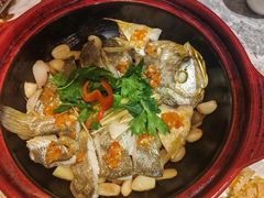 -乐忻皇朝(上海中心大厦店)