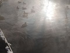 -水磨沟公园