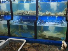 -老东镇啤酒屋海鲜加工·蒸汽海鲜·海鲜烧烤(台东店)