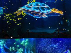 -海合安成都极地海洋公园