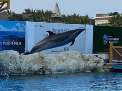 -三亚海昌梦幻海洋不夜城