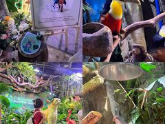 -正佳雨林生态植物园