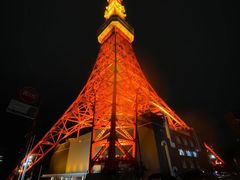 -东京塔海贼王主题公园