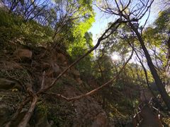 -大岭沟猕猴桃谷风景区