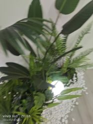 -HEYAN荷妍专业脱毛连锁机构