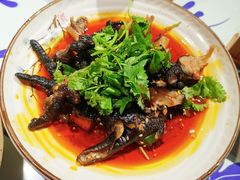 养生乌鸡爪-井水小厨·湘菜(活力广场店)