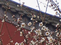 -钱王祠