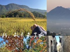 -塔川景区