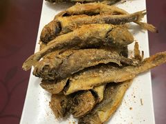 -烁佳海鲜大馅饺子