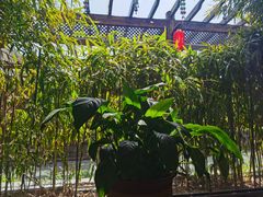 -慢丽江·云南野生菌土鸡锅(付家庄店)