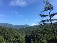 -九龙江国家森林公园