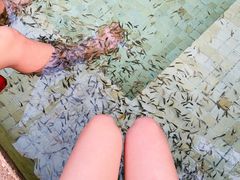 -春晖园度假酒店温泉