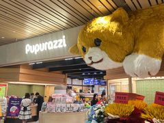 -帕帕拉兹宠物(亚洲旗舰店)