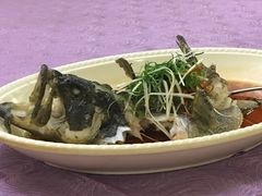 -满福隆酒楼(万绿园店)