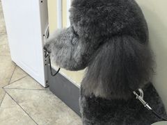 -美联众合动物医院·24h转诊中心