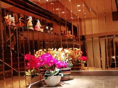 -英子补身汤(海兰路店)