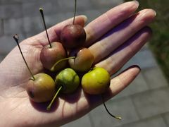 -武昌江滩