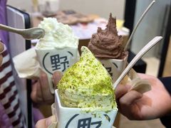 -野人先生现做冰淇淋(北京环宇荟店)