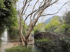 -湖南别院·美学庭院餐厅(惠阳店)